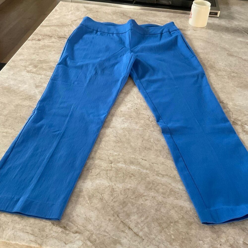 Pull On Attyre Stretch Slacks Size 10